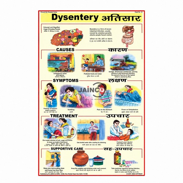 Dysentery Chart